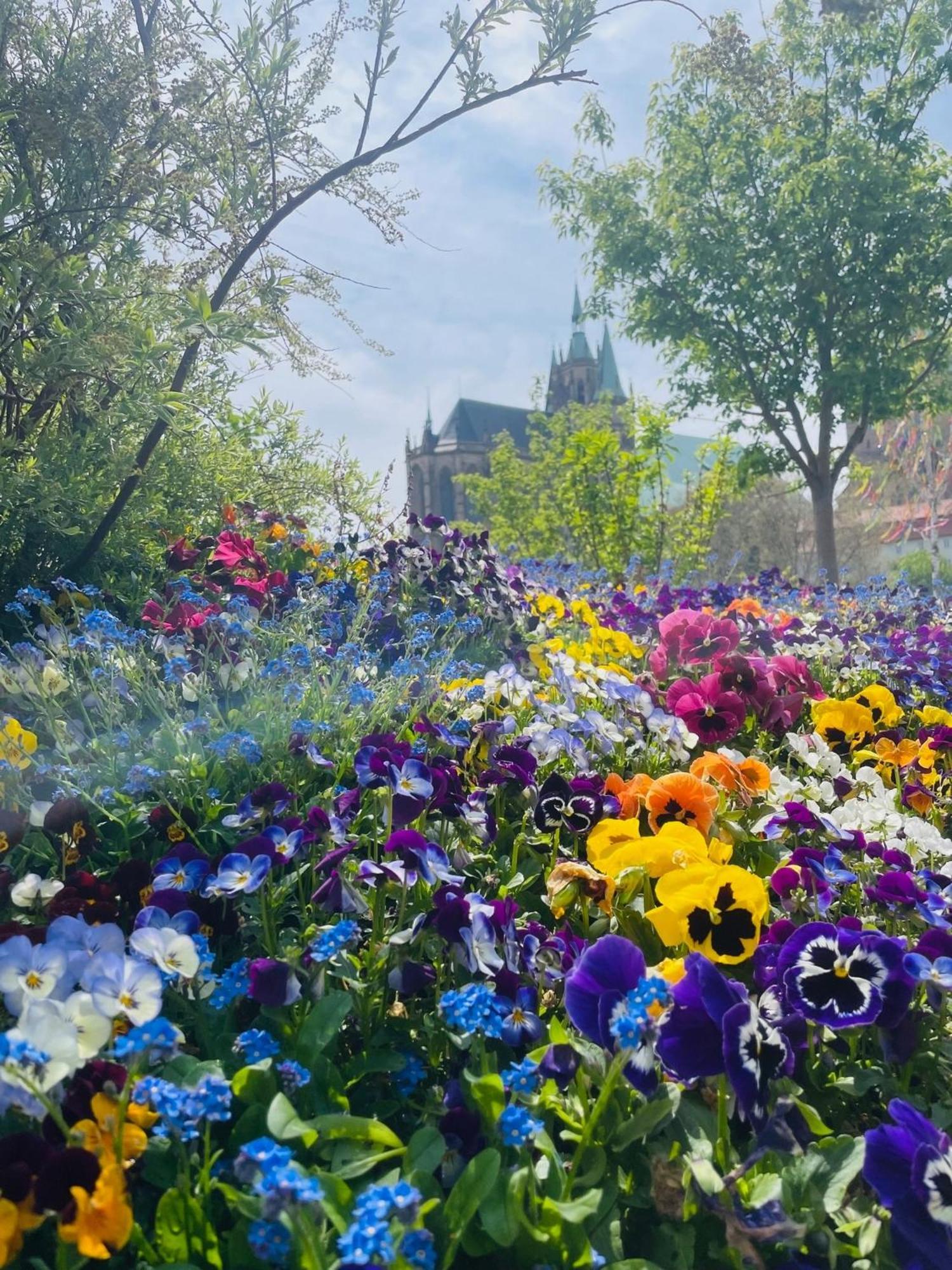 Ferienwohnung Erfurt genießen Exterior foto